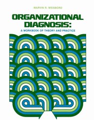 Organizational Diagnosis