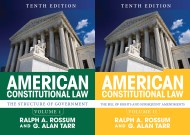 American Constitutional Law, 2-Volume Set