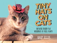 Tiny Hats on Cats