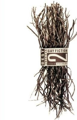 Best American Gay Fiction #2