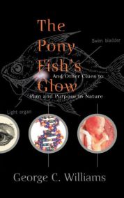 The Pony Fish’s Glow