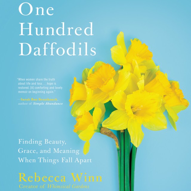 One Hundred Daffodils