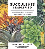 Succulents Simplified