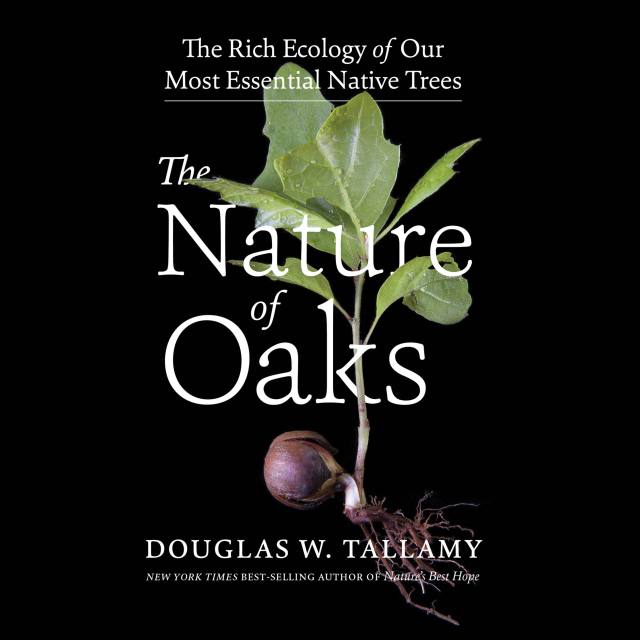 The Nature of Oaks