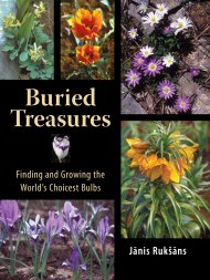 Buried Treasures