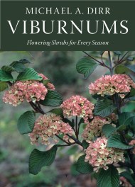 Viburnums