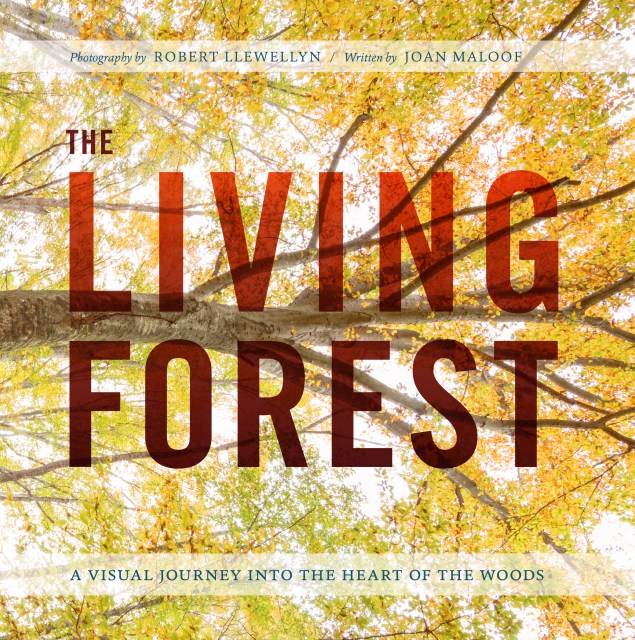 The Living Forest