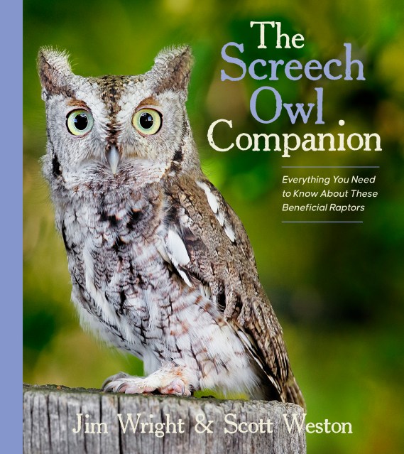 Book cover image of the Screech Owl Companion by Jim Wright and Scott Weston