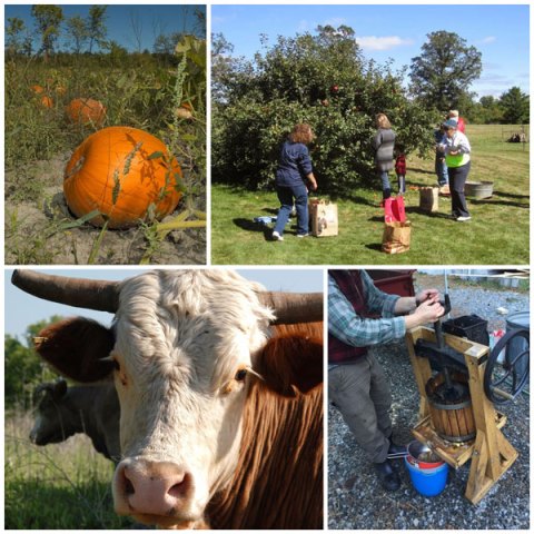 homestead-planner-early-fall