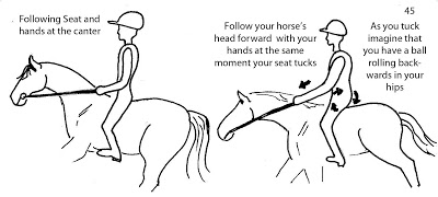 storey-Horseriders-Problems-and-Solutions