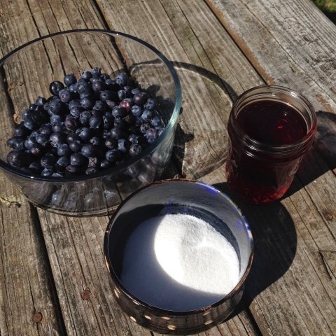 storey-blueberry-gastrique