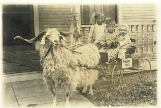 sue-weaver-frozen-in-time