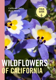 Wildflowers of California
