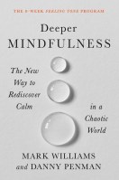 Deeper Mindfulness