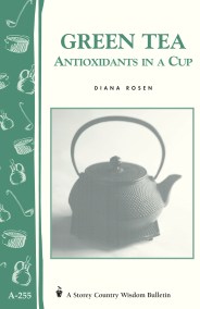 Green Tea: Antioxidants in a Cup