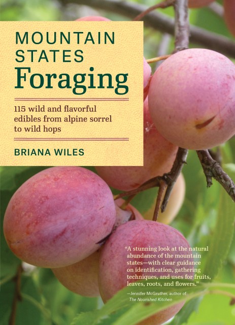 Mountain States Foraging