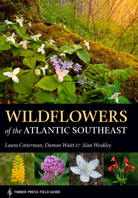 Wildflowers of the Atlantic Southeast