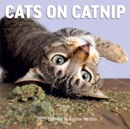 Cats on Catnip Wall Calendar 2025
