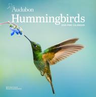 Audubon Hummingbirds Mini Wall Calendar 2025