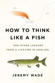 How to Think Like a Fish