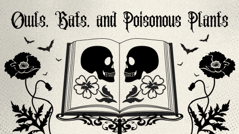 Owls, Bats, and Poisonous Plants